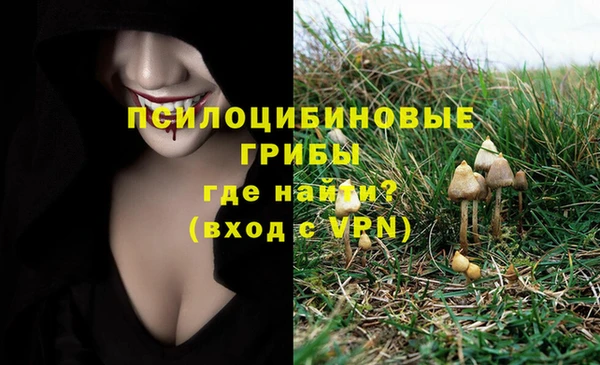 ALPHA PVP Бородино