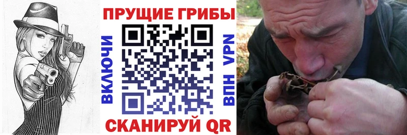 omg зеркало  Махачкала  Псилоцибиновые грибы мухоморы 